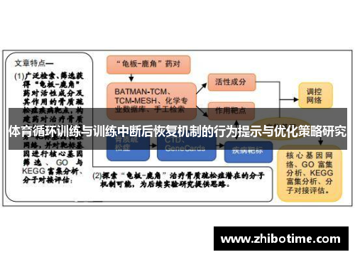体育循环训练与训练中断后恢复机制的行为提示与优化策略研究